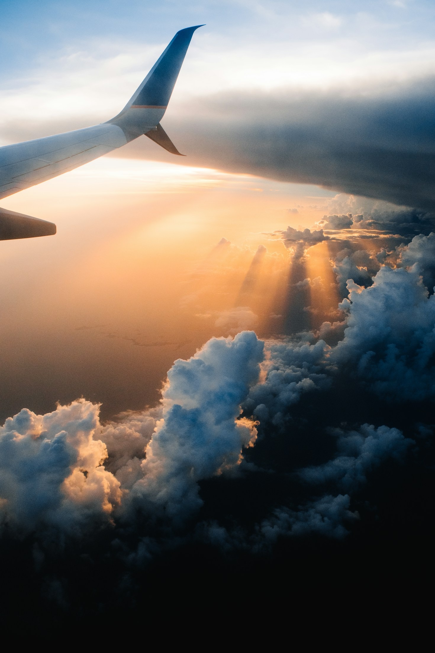Top Pet-Friendly Travel Destinations in 2023